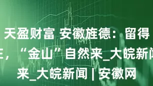 天盈财富 安徽旌德：留得“青山”在，“金山”自然来_大皖新闻 | 安徽网