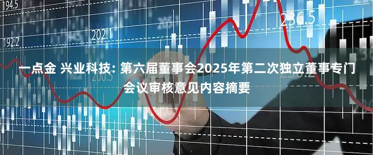 一点金 兴业科技: 第六届董事会2025年第二次独立董事专门会议审核意见内容摘要
