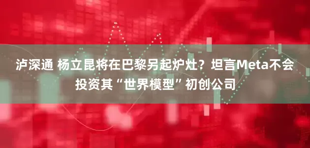泸深通 杨立昆将在巴黎另起炉灶？坦言Meta不会投资其“世界模型”初创公司